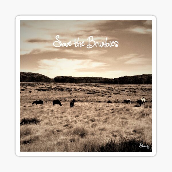 Wild Horses Sticker