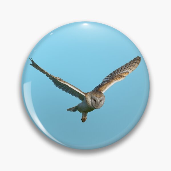 Item preview, Barn Owl Flying Color Print designed and sold by designsasstultd.
