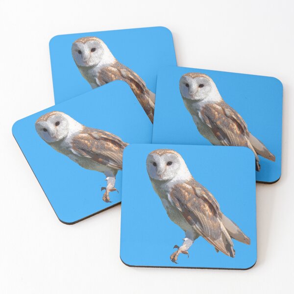 Item preview, Barn Owl Color Print designed and sold by designsasstultd.