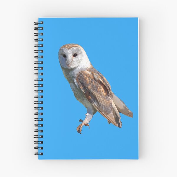 Item preview, Barn Owl Color Print designed and sold by designsasstultd.
