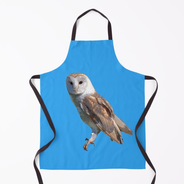 Item preview, Barn Owl Color Print designed and sold by designsasstultd.
