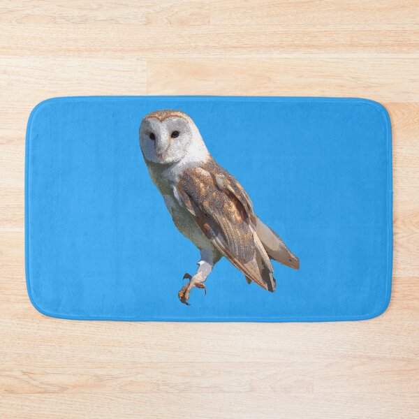 Item preview, Barn Owl Color Print designed and sold by designsasstultd.