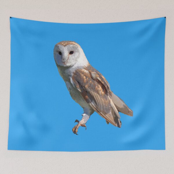 Item preview, Barn Owl Color Print designed and sold by designsasstultd.