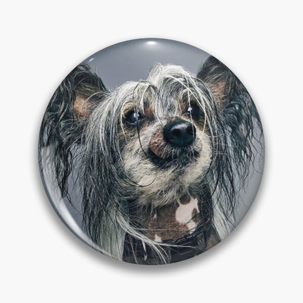 Item preview, Chinese Crested Dog - full face cute pets long hair art designed and sold by Coolstuff4you71.