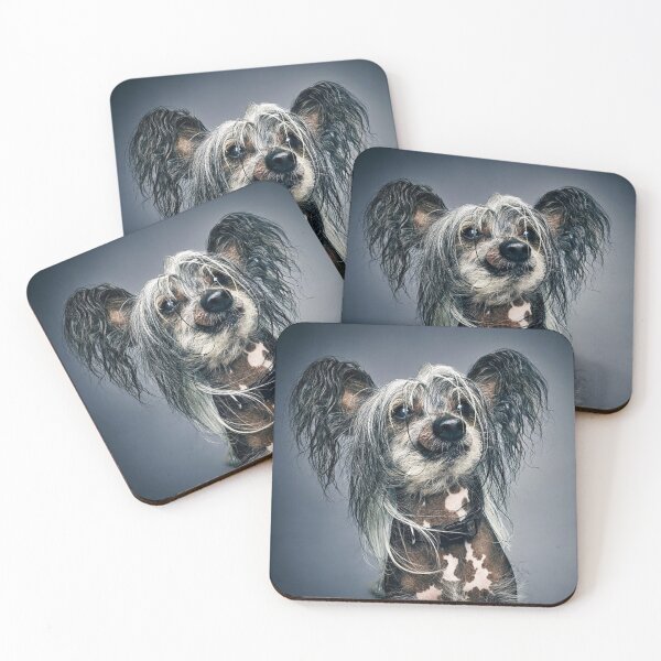 Item preview, Chinese Crested Dog - full face cute pets long hair art designed and sold by Coolstuff4you71.