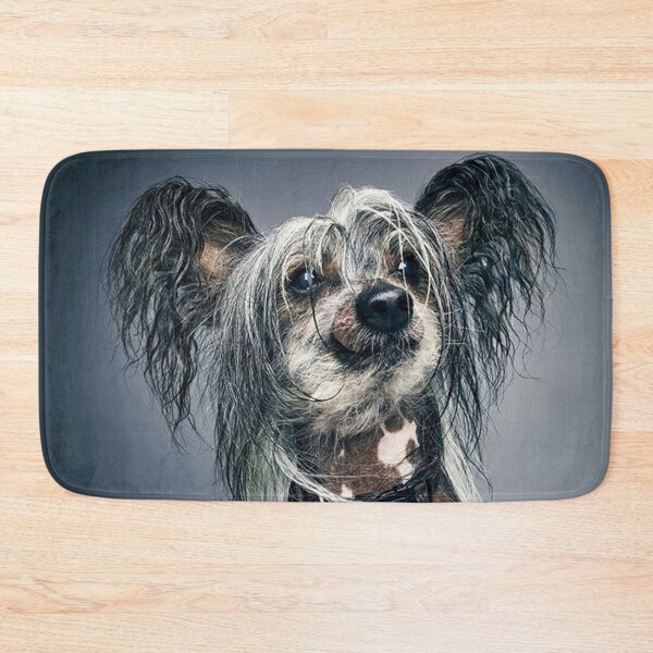 Item preview, Chinese Crested Dog - full face cute pets long hair art designed and sold by Coolstuff4you71.