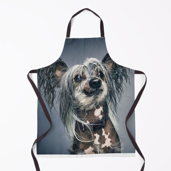 Item preview, Chinese Crested Dog - full face cute pets long hair art designed and sold by Coolstuff4you71.