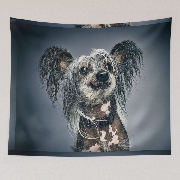 Item preview, Chinese Crested Dog - full face cute pets long hair art designed and sold by Coolstuff4you71.