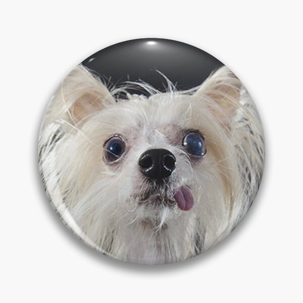 Item preview, Chinese Crested Dog - full face cute pets long hair crazy dogs designed and sold by Coolstuff4you71.