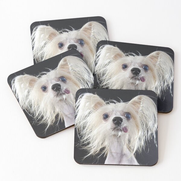 Item preview, Chinese Crested Dog - full face cute pets long hair crazy dogs designed and sold by Coolstuff4you71.
