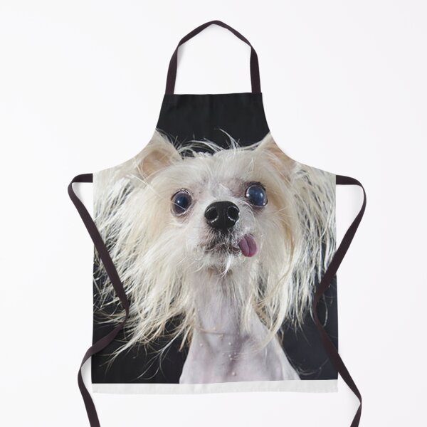 Item preview, Chinese Crested Dog - full face cute pets long hair crazy dogs designed and sold by Coolstuff4you71.