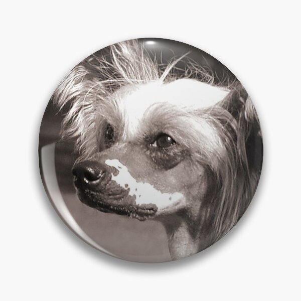 Item preview, Chinese Crested Dog - full face cute pets long hair  designed and sold by Coolstuff4you71.