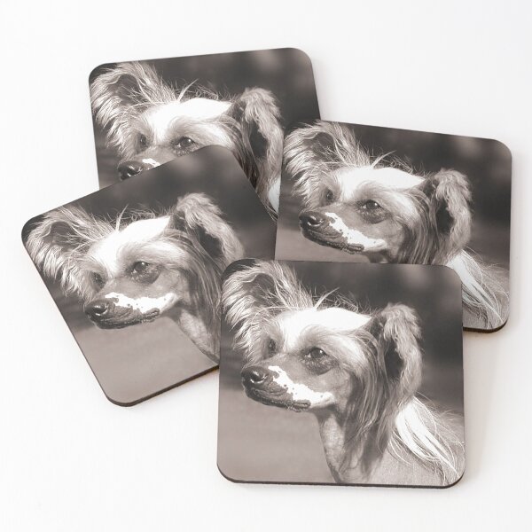 Item preview, Chinese Crested Dog - full face cute pets long hair  designed and sold by Coolstuff4you71.