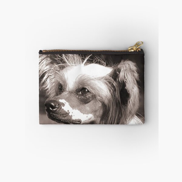 Item preview, Chinese Crested Dog - full face cute pets long hair designed and sold by Coolstuff4you71.