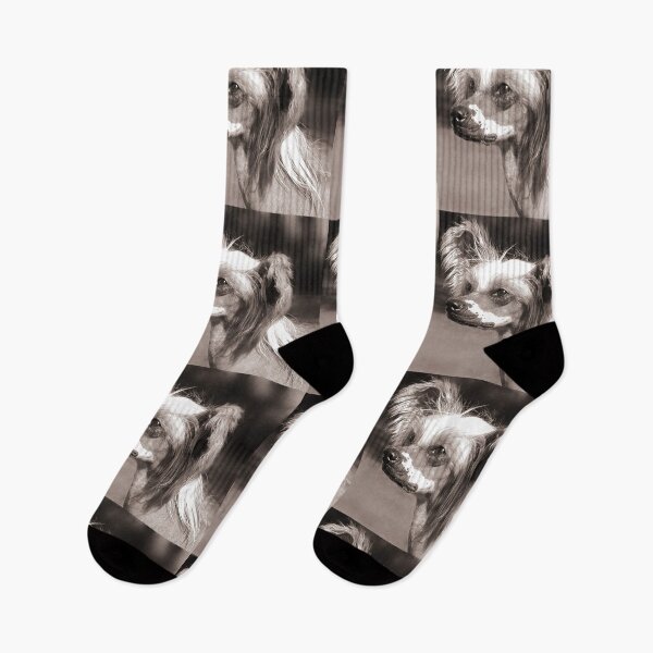 Item preview, Chinese Crested Dog - full face cute pets long hair  designed and sold by Coolstuff4you71.