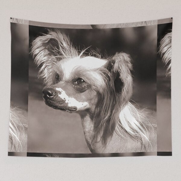 Item preview, Chinese Crested Dog - full face cute pets long hair  designed and sold by Coolstuff4you71.