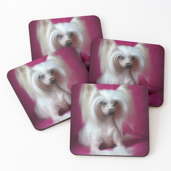 Item preview, Chinese Crested Dog - full face cute pets long hair  designed and sold by Coolstuff4you71.
