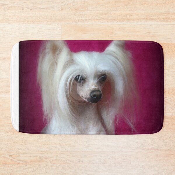 Item preview, Chinese Crested Dog - full face cute pets long hair  designed and sold by Coolstuff4you71.