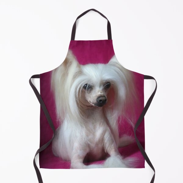 Item preview, Chinese Crested Dog - full face cute pets long hair  designed and sold by Coolstuff4you71.