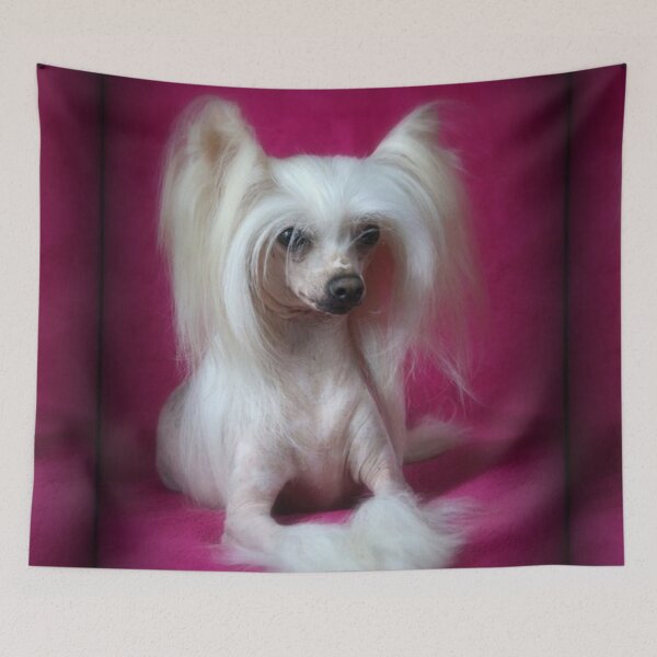 Item preview, Chinese Crested Dog - full face cute pets long hair  designed and sold by Coolstuff4you71.