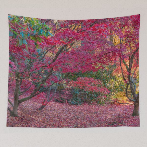 Item preview, Bright red Japanese Maple trees designed and sold by Li Kovacs.