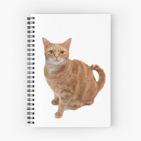 Item preview, Orange Tabby Cat designed and sold by Leslie Banks.
