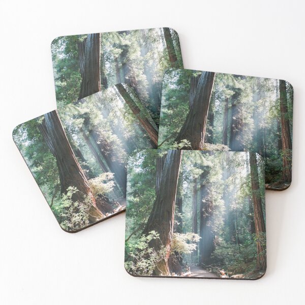 Item preview, Muir Woods designed and sold by thelightholder.