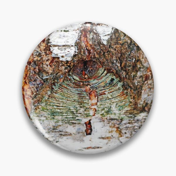 Item preview, Belly Button Birch I designed and sold by Deb Oppermann.