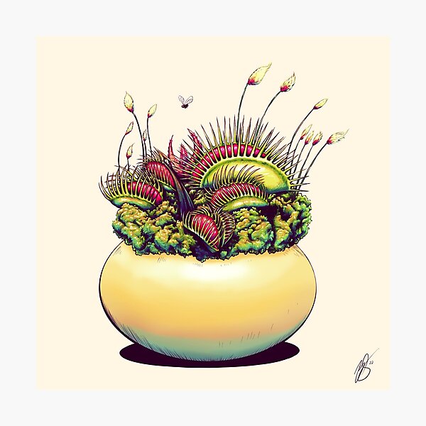 Item preview, Flytrap designed and sold by ZachSmithson.