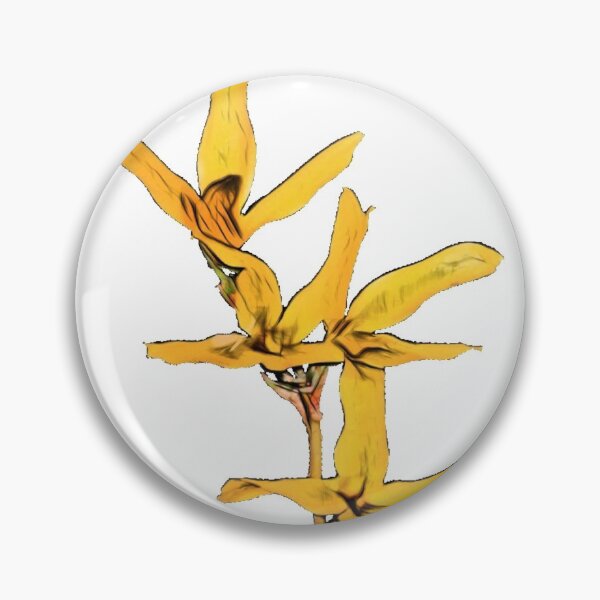 Artikelvorschau, Forsythia Oleaceae Osterbaum William Forsyth natürliche Schönheit entworfen und verkauft von SlightUser.
