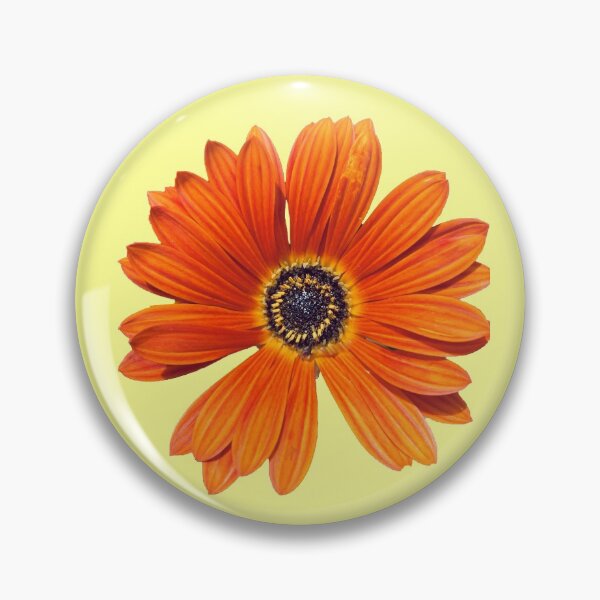 Artikelvorschau, Orange Gerbera Daisy II in gelb entworfen und verkauft von Herni Shepherd.