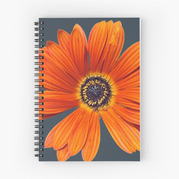 Item preview, Orange Gerbera Daisy II in charcoal designed and sold by Herni Shepherd.