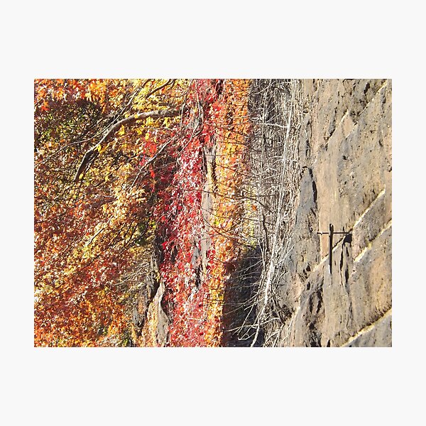 Item preview, Autumn Colors, Harsimus Branch Embankment, Jersey City, New Jersey designed and sold by lenspiro.