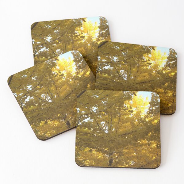 Item preview, Autumn Colors, Hoboken, New Jersey designed and sold by lenspiro.
