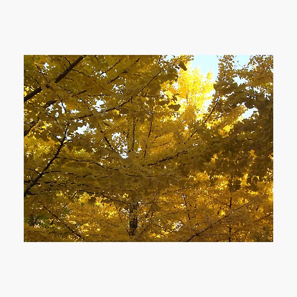 Item preview, Autumn Colors, Hoboken, New Jersey designed and sold by lenspiro.