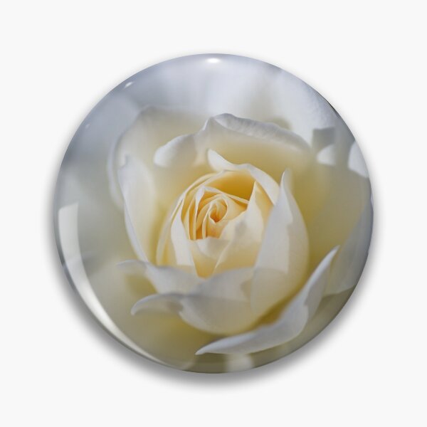 Item preview, Soft And White Rose designed and sold by Joy Watson - Natural Light Photography .