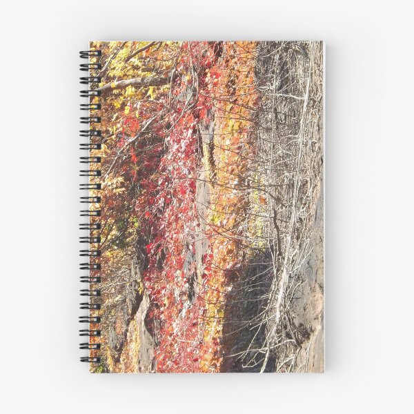 Item preview, Autumn Colors, Harsimus Branch Embankment, Jersey City, New Jersey designed and sold by lenspiro.