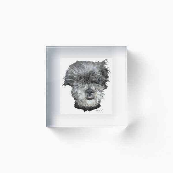 Miniature Shih-tzu Acrylic Block