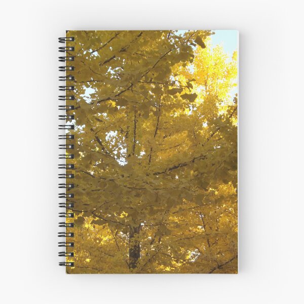 Item preview, Autumn Colors, Hoboken, New Jersey designed and sold by lenspiro.