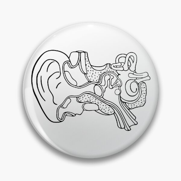 Item preview, Line Drawing of Inner Ear Anatomy Illustration designed and sold by taylorcustom.
