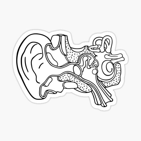 Human Ear Stickers for Sale