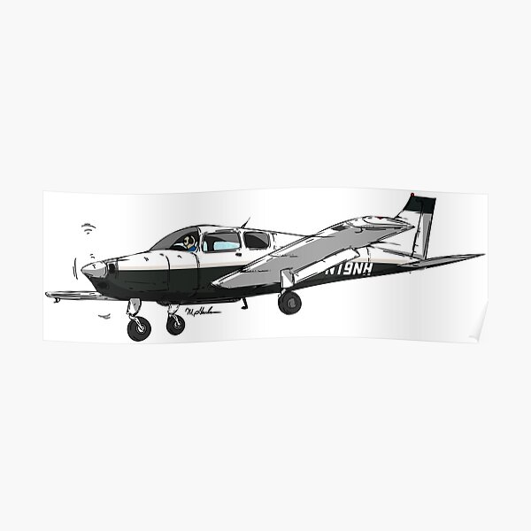 Beechcraft Musketeer N19NH Poster