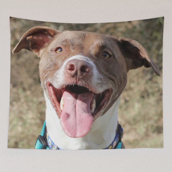 Item preview, Tyson Smiles designed and sold by Autumn Seas Photography.