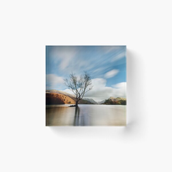 Item preview, Lake Tree designed and sold by bcash.