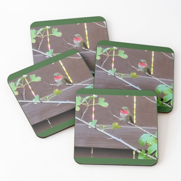 Item preview, Hummingbird  designed and sold by ElitebyElise.