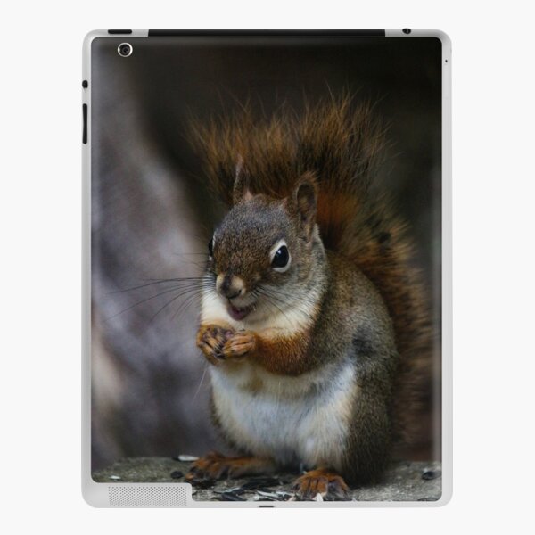 Will work for seeds iPad Skin