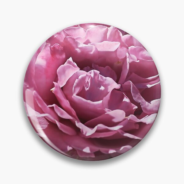 Item preview, Angel Face Roses designed and sold by Joy Watson - Natural Light Photography .