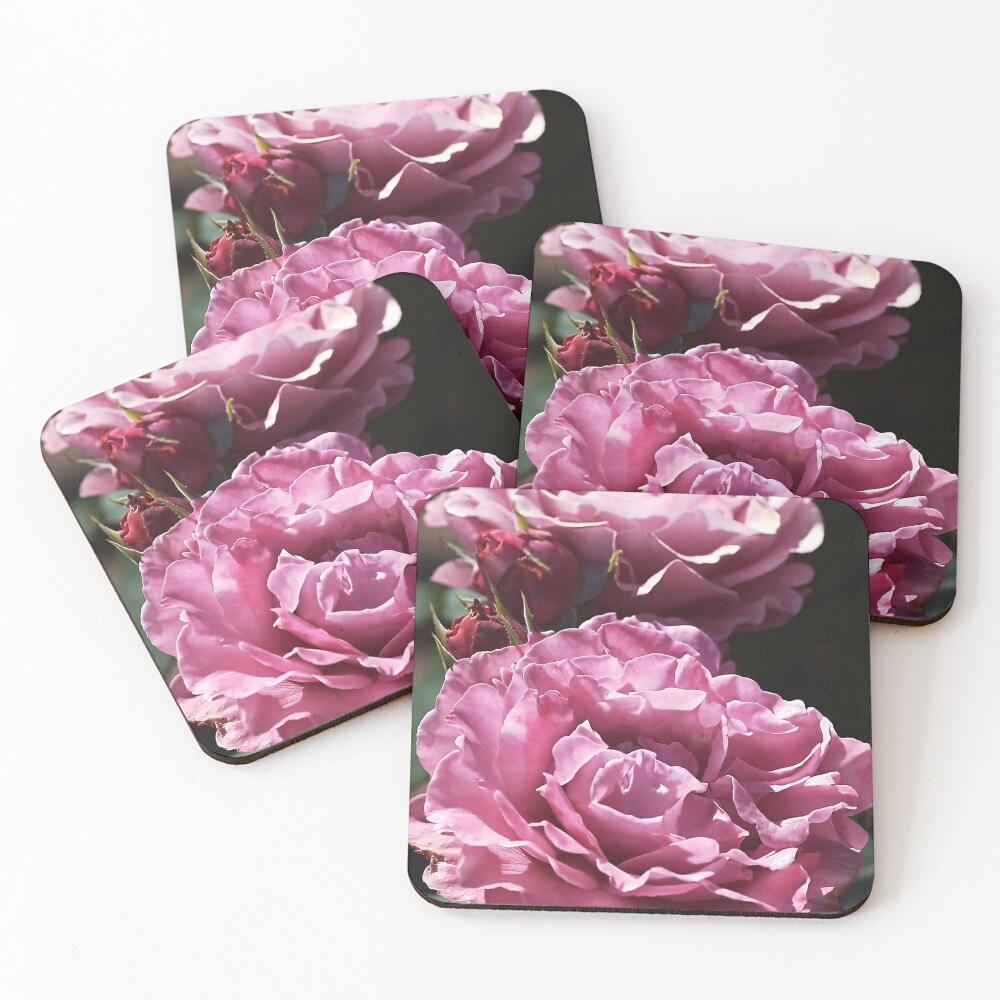 Item preview, Coasters (Set of 4) designed and sold by bubbleblue.