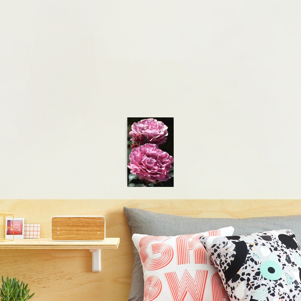 Item preview, Photographic Print designed and sold by bubbleblue.