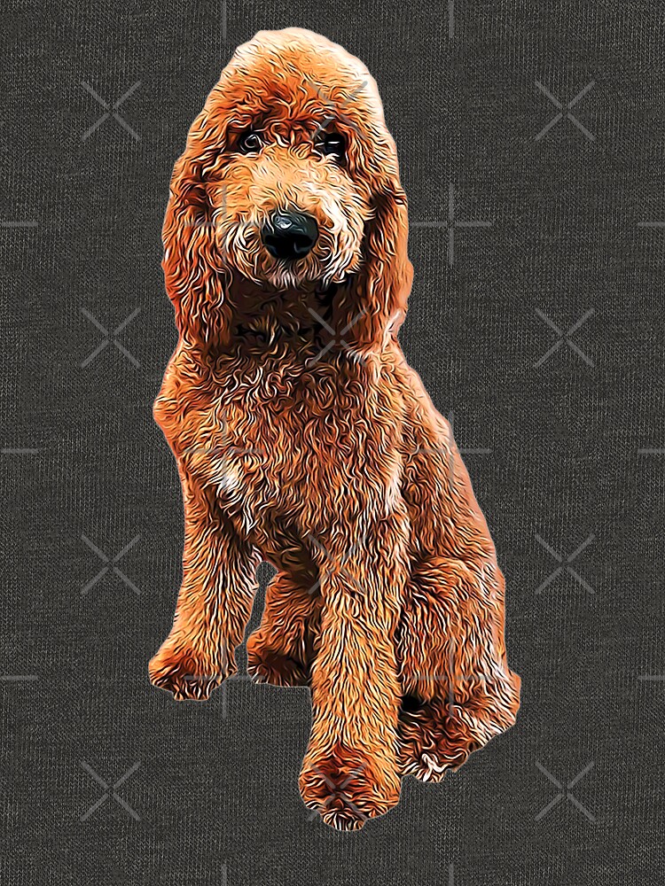 Goldendoodle Golden Doodle Cute Puppy Dog Pullover Hoodie for Sale by ElegantCat Redbubble